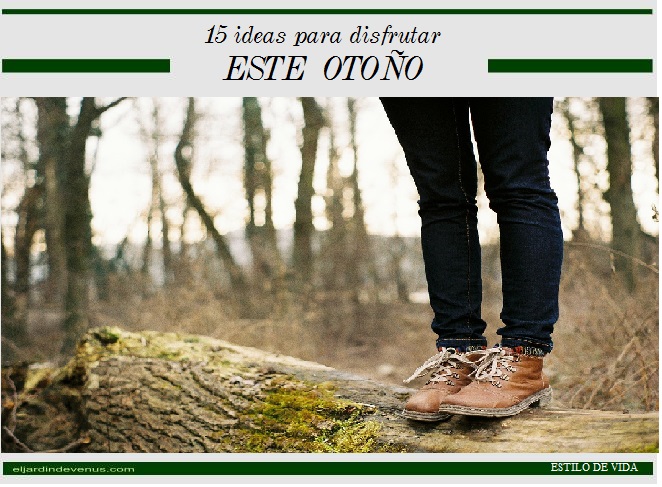 15 ideas para disfrutar este otoño