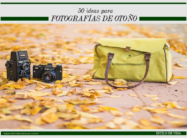 50 ideas para fotografías de otoño