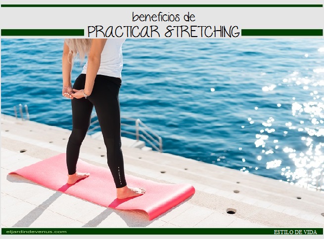 Beneficios de practicar stretching - El Jardín de Venus