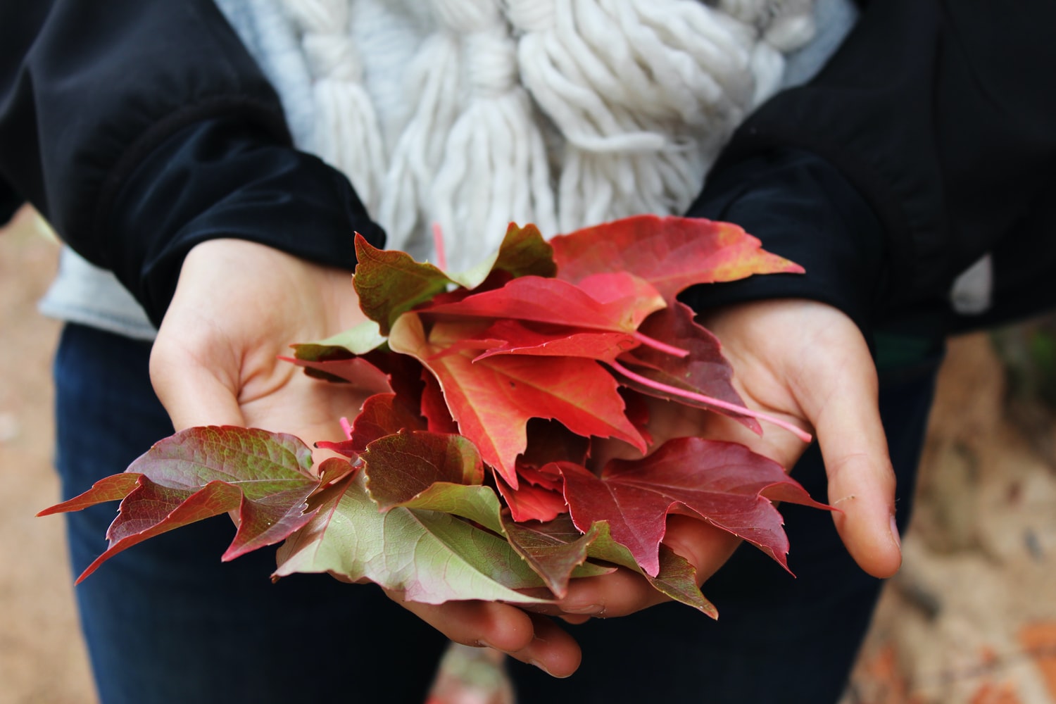 Prepárate para el otoño - El Jardin de Venus