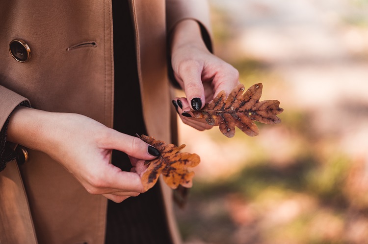 Proyectos creativos para divertirte en otoño - El Jardín de Venus