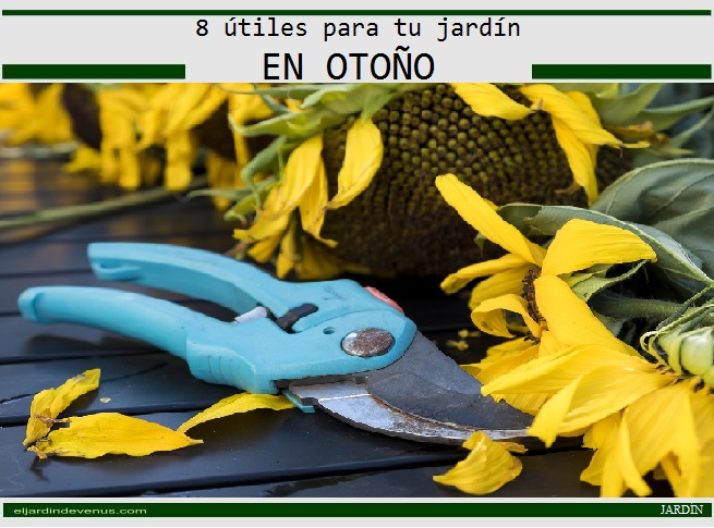 8 útiles para tu jardín en otoño - El Jardín de Venus