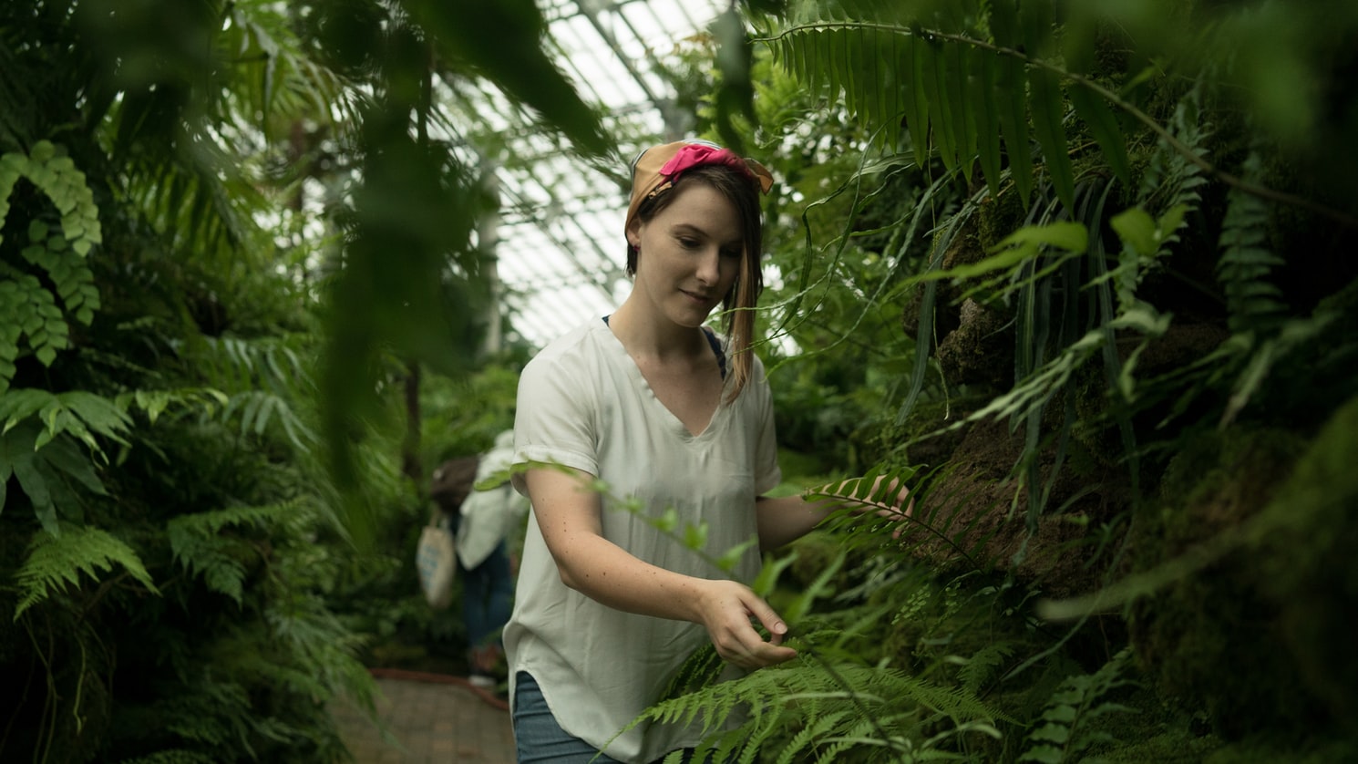 Trucos para un diseño de jardín original - El Jardín de Venus