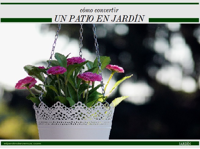 cómo convertir un patio en jardín