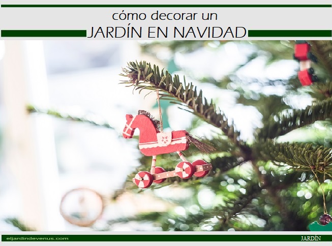 Cómo decorar un jardín en Navidad - El Jardín de Venus