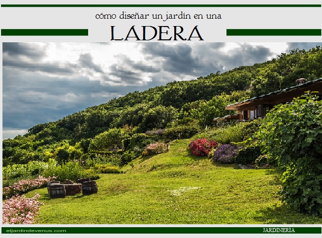 Cómo diseñar un jardín en una ladera