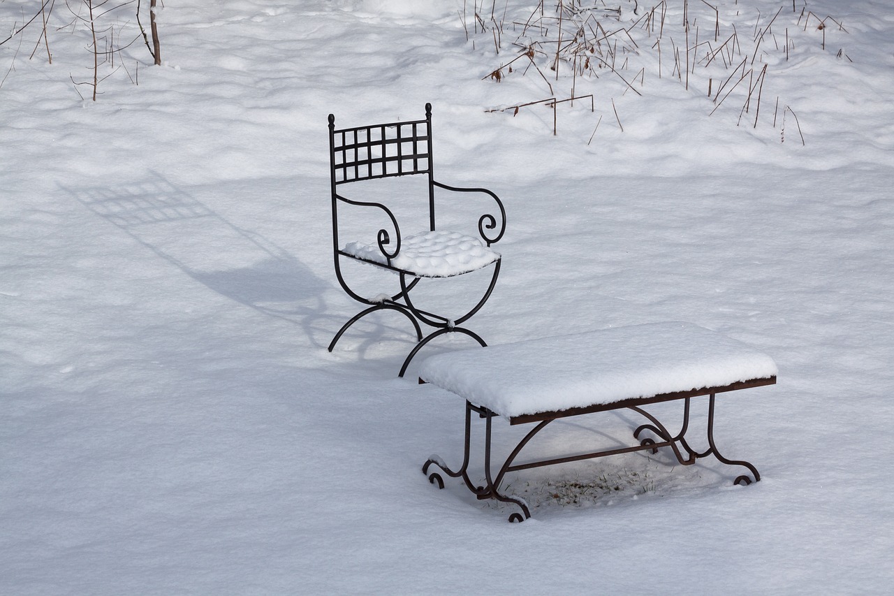 Cómo proteger el jardín de la nieve - El Jardín de Venus