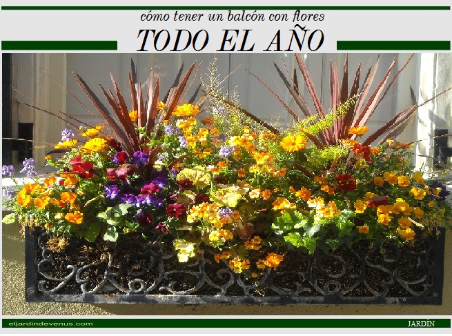 cómo tener un balcón con flores todo el año - El Jardín de Venus