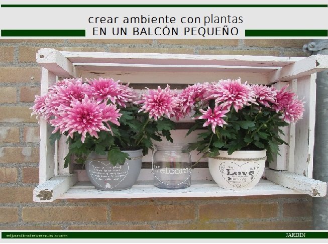 crear ambiente con plantas en un balcón pequeño - El Jardín de Venus