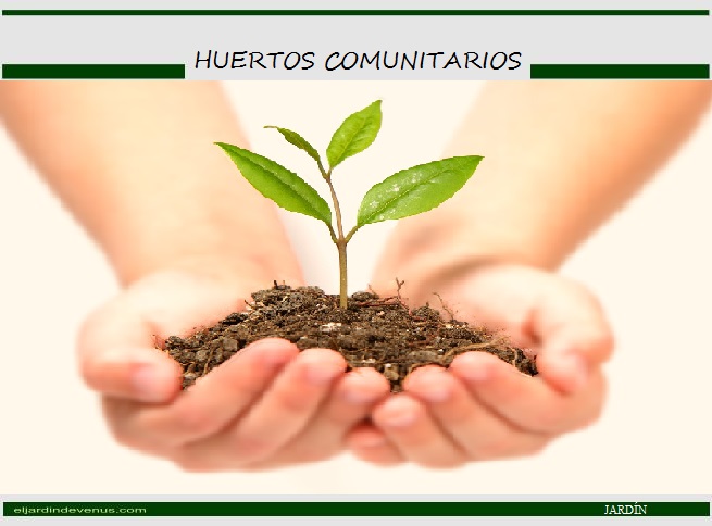 huertos comunitarios