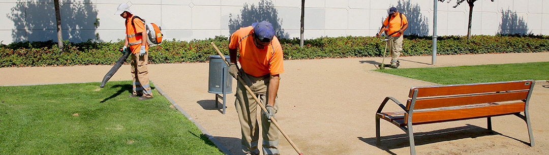 Cómo contratar el mejor servicio de jardinería - El Jardín de Venus