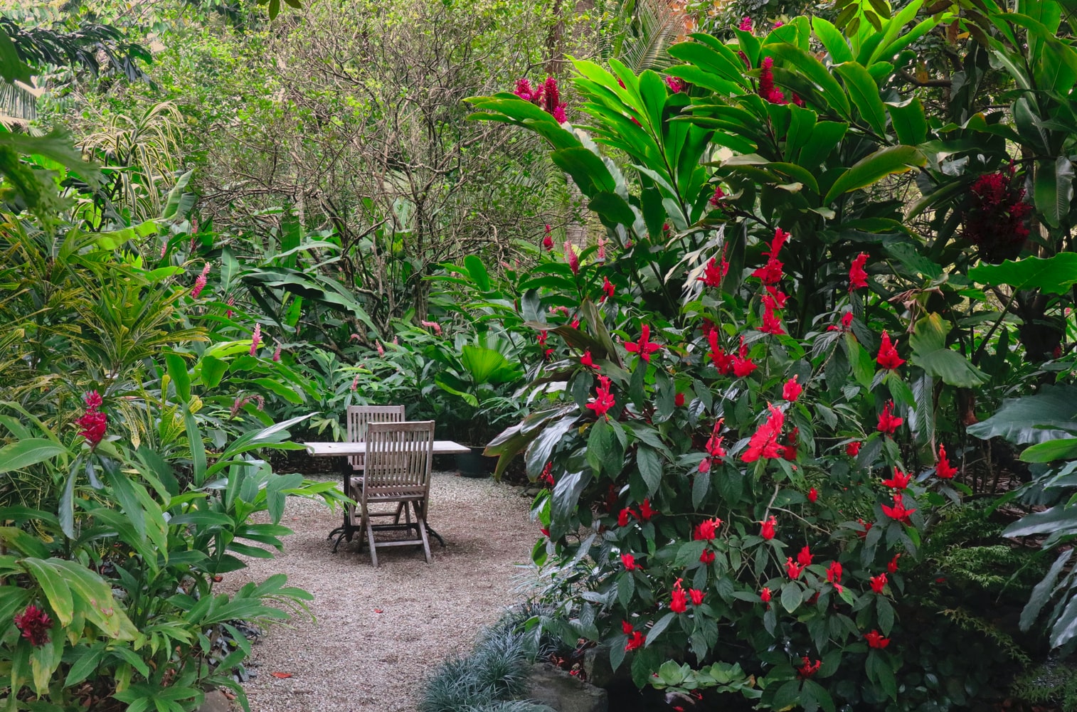 Preparar el jardín para hacerlo más habitable - El Jardín de Venus