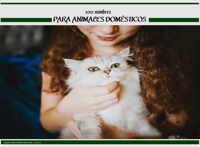 100 nombres para animales domésticos