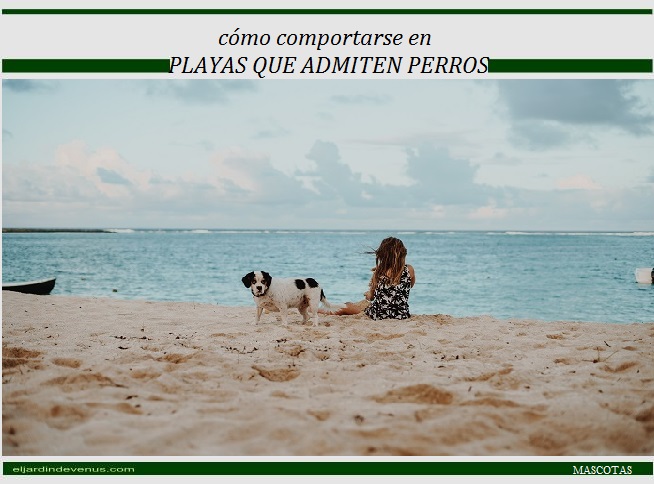 Cómo comportarse en playas que admiten perros - El Jardín de Venus