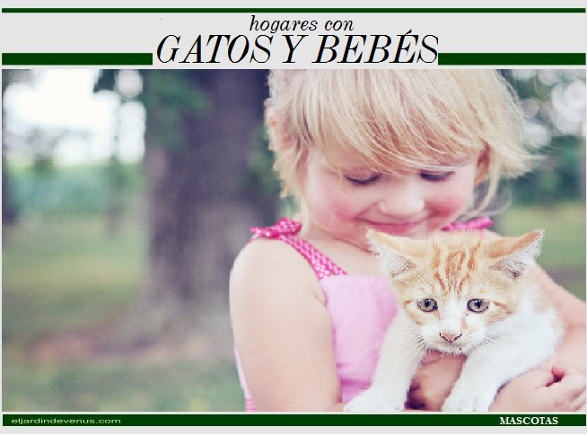 Hogares con gatos y bebés