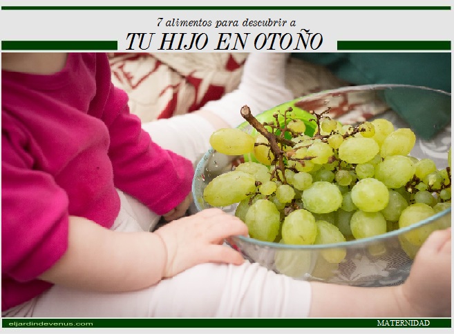 7 alimentos para descubrir a tu hijo en otoño