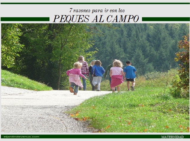 7 razones para ir con los peques al campo