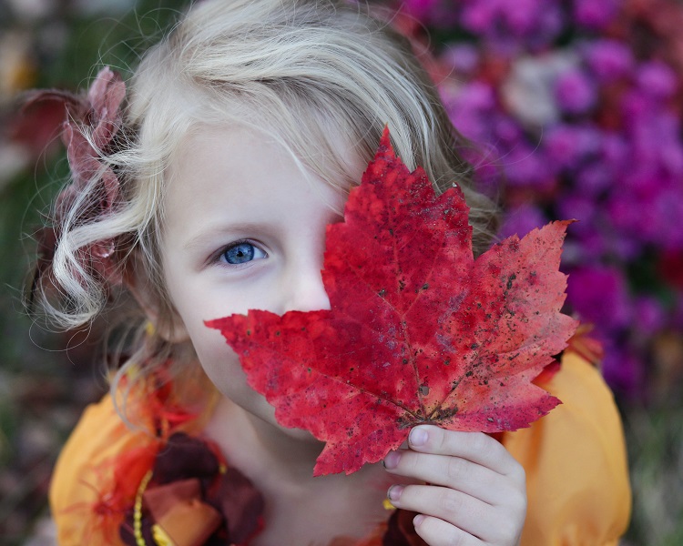 Actividades familiares en otoño al aire libre - El Jardín de Venus