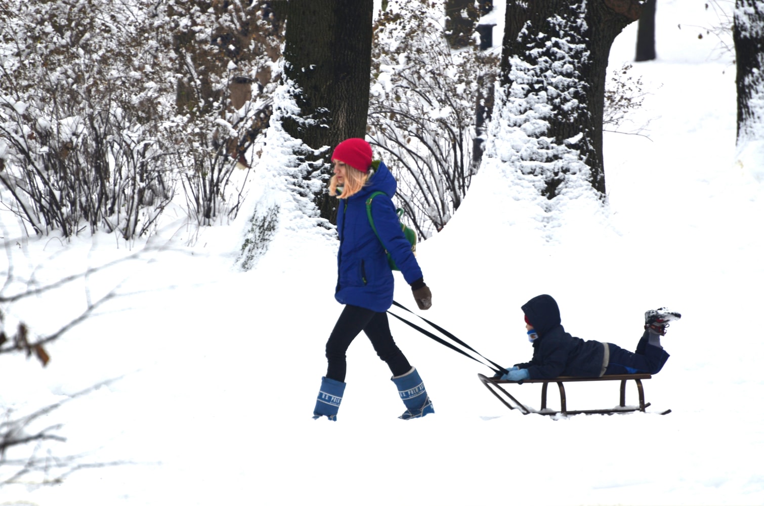 Planes en la naturaleza con niños en invierno - El Jardín de Venus