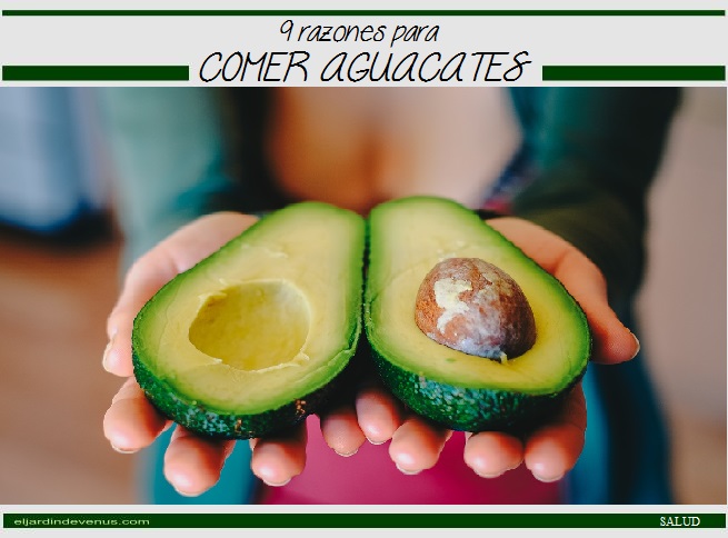 9 razones para comer aguacates - El Jardín de Venus