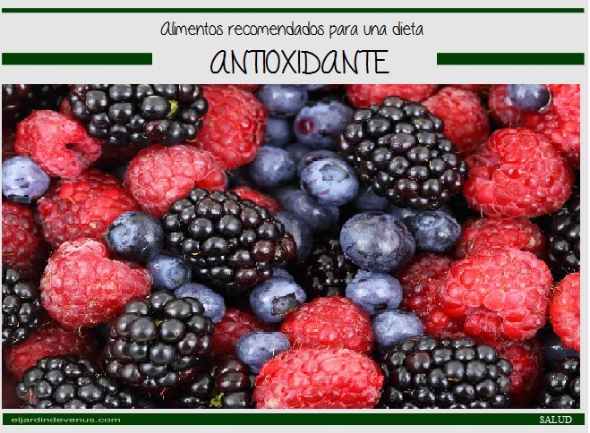 Alimentos recomendados para una dieta antioxidante