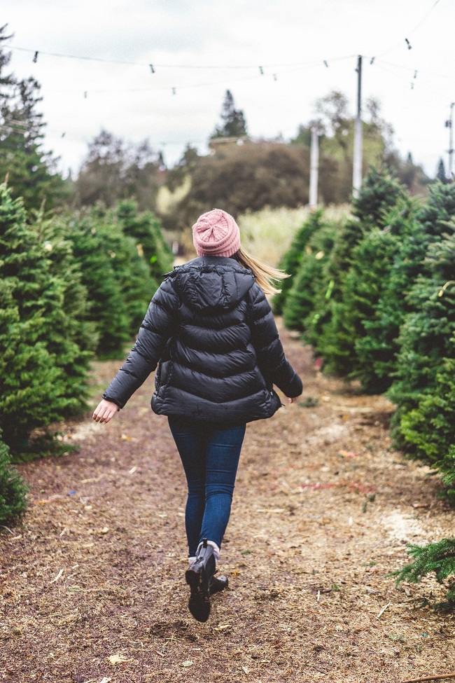 Hábitos saludables en Navidad - El Jardín de Venus