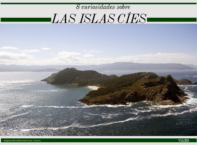 8 curiosidades sobre las Islas Cíes