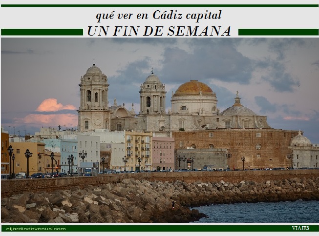 Qué ver en Cádiz capital un fin de semana - El Jardín de Venus