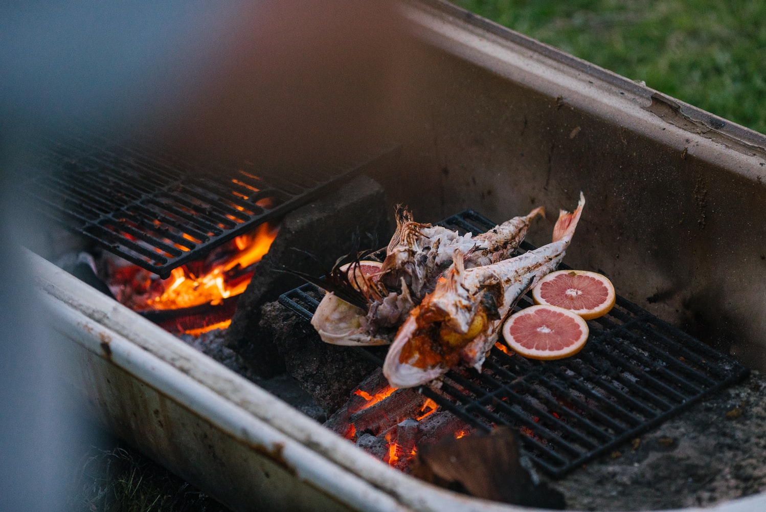 Ideas para una barbacoa saludable - El Jardín de Venus