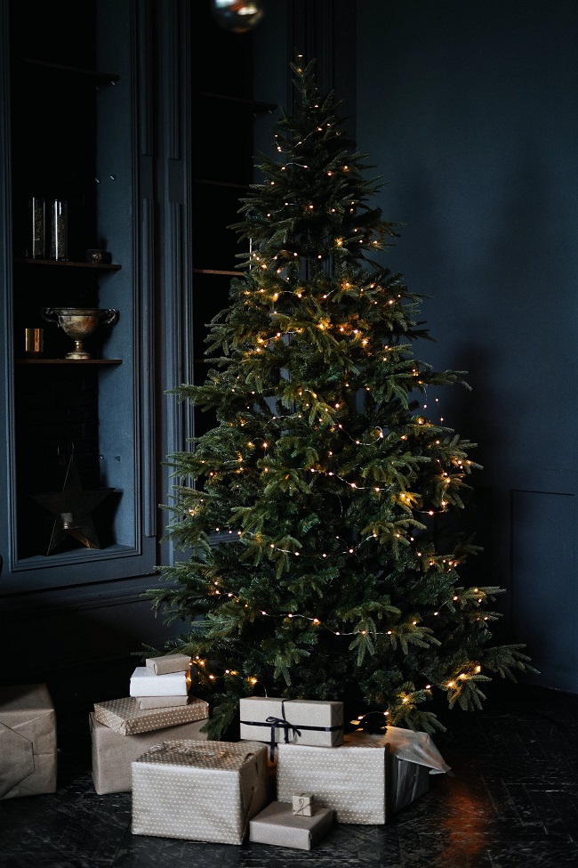 Con qué decorar el árbol de Navidad - El Jardín de Venus