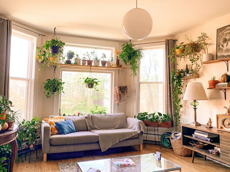 Crear un vergel de plantas de interior en casa - El Jardín de Venus