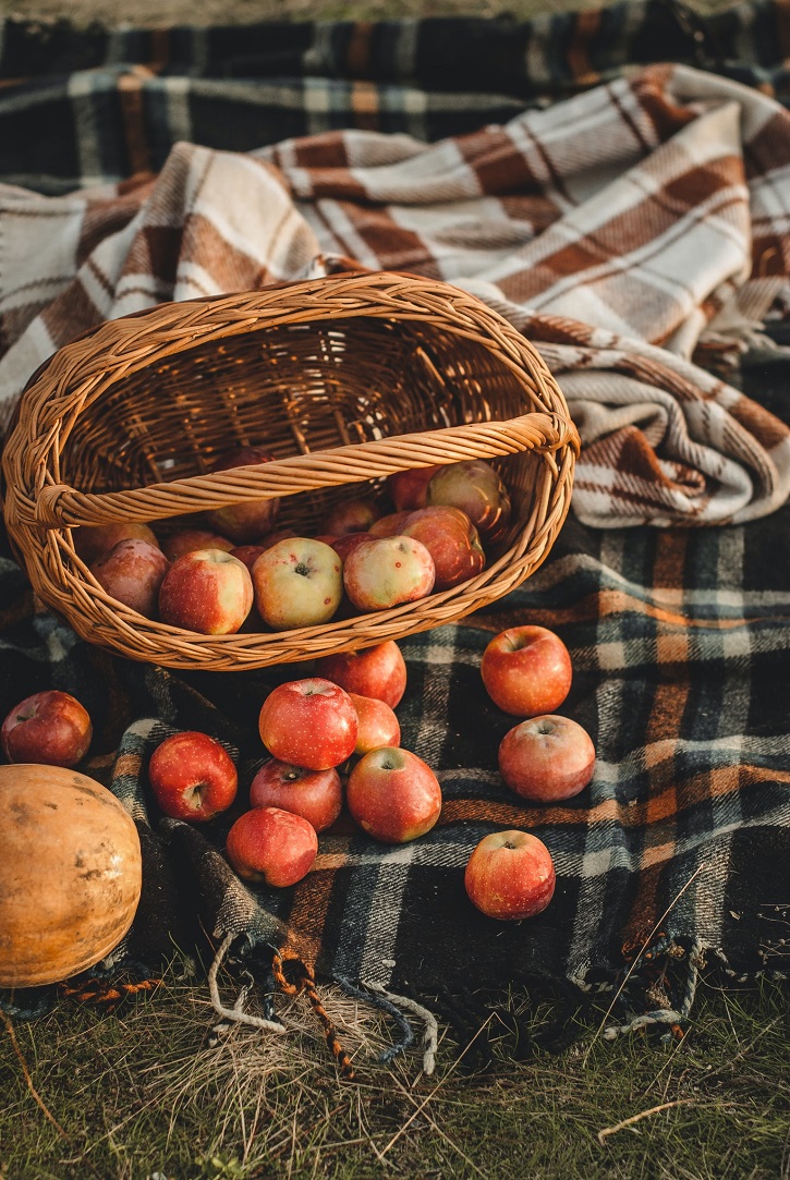 Senderismo y recolección silvestre en otoño - El Jardín de Venus