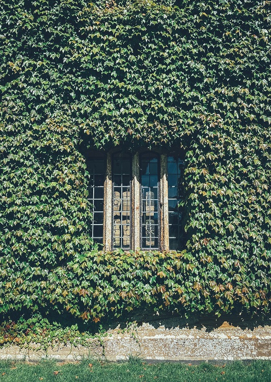 Fachadas vegetales - El Jardín de Venus