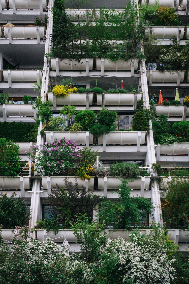 Qué cultivo en el balcón de casa para comer - El Jardín de Venus