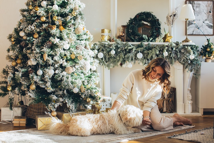 Cómo cuidar a tu perro en Navidad - El Jardín de Venus