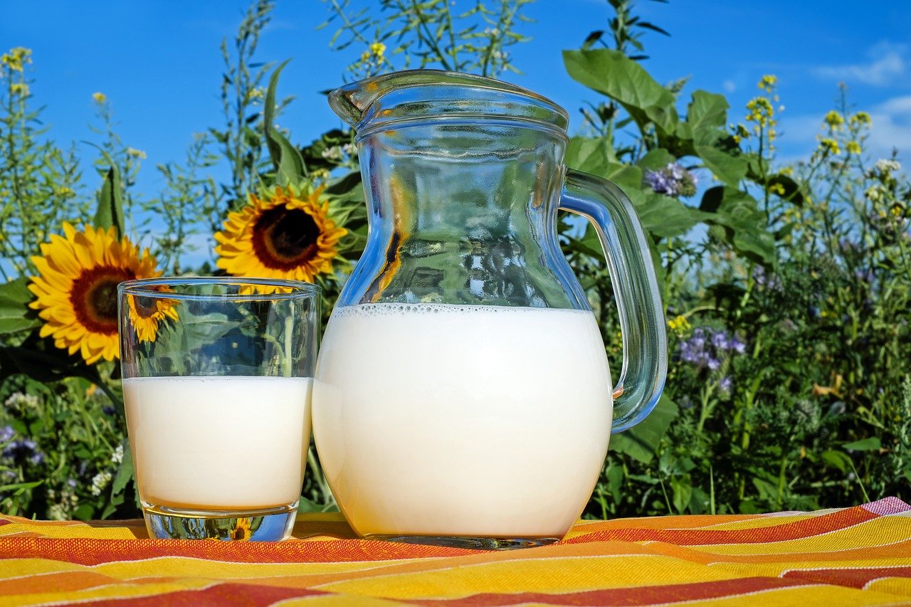 Es bueno tomar leche en el desayuno - El Jardín de Venus