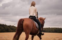 Beneficios de practicar equitación
