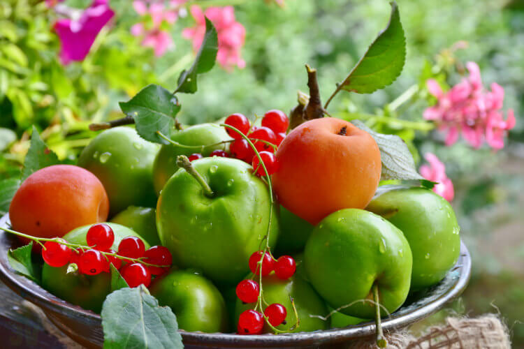 Frutas de temporada en Septiembre
