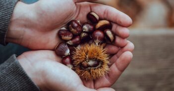 Cómo hacer un guiso de cordero con castañas - El Jardín de Venus