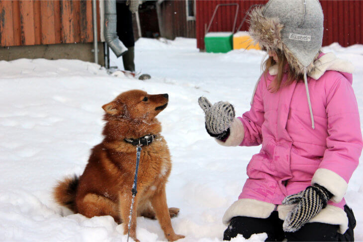 Un perro y una niña jugando en la nieve