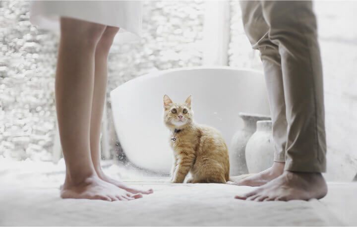 Bonito gato atigrado naranja sentado en el suelo del baño