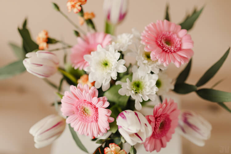 Gerberas. Flores para decorar la casa en primavera