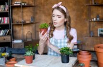 Jardinería doméstica de interior - El Jardín de Venus